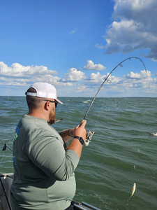 Perch fishing fun on Lake Erie waters!